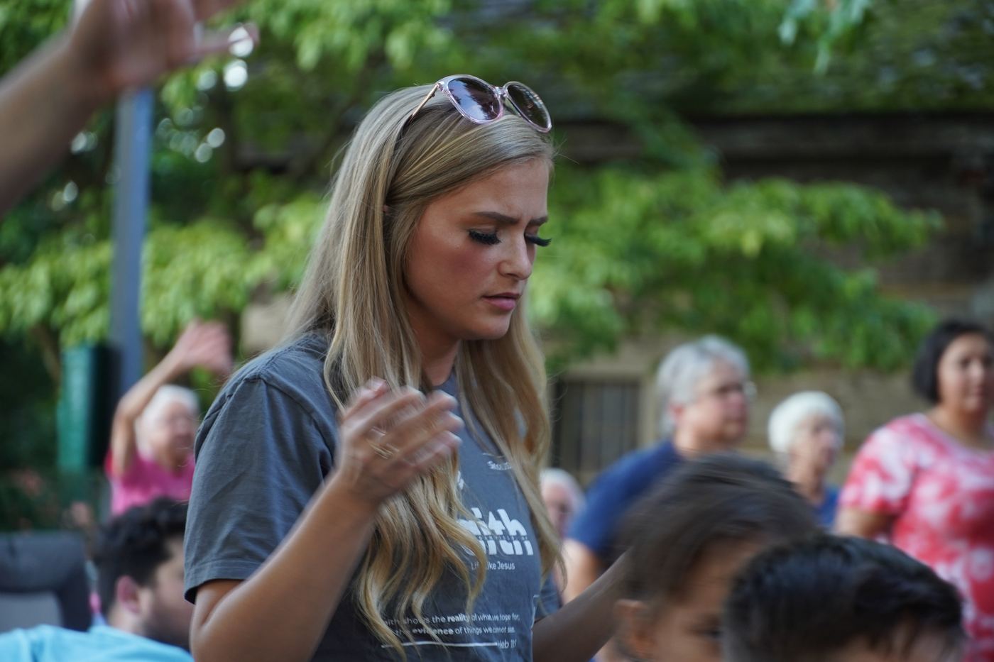Danville festival — photo 1