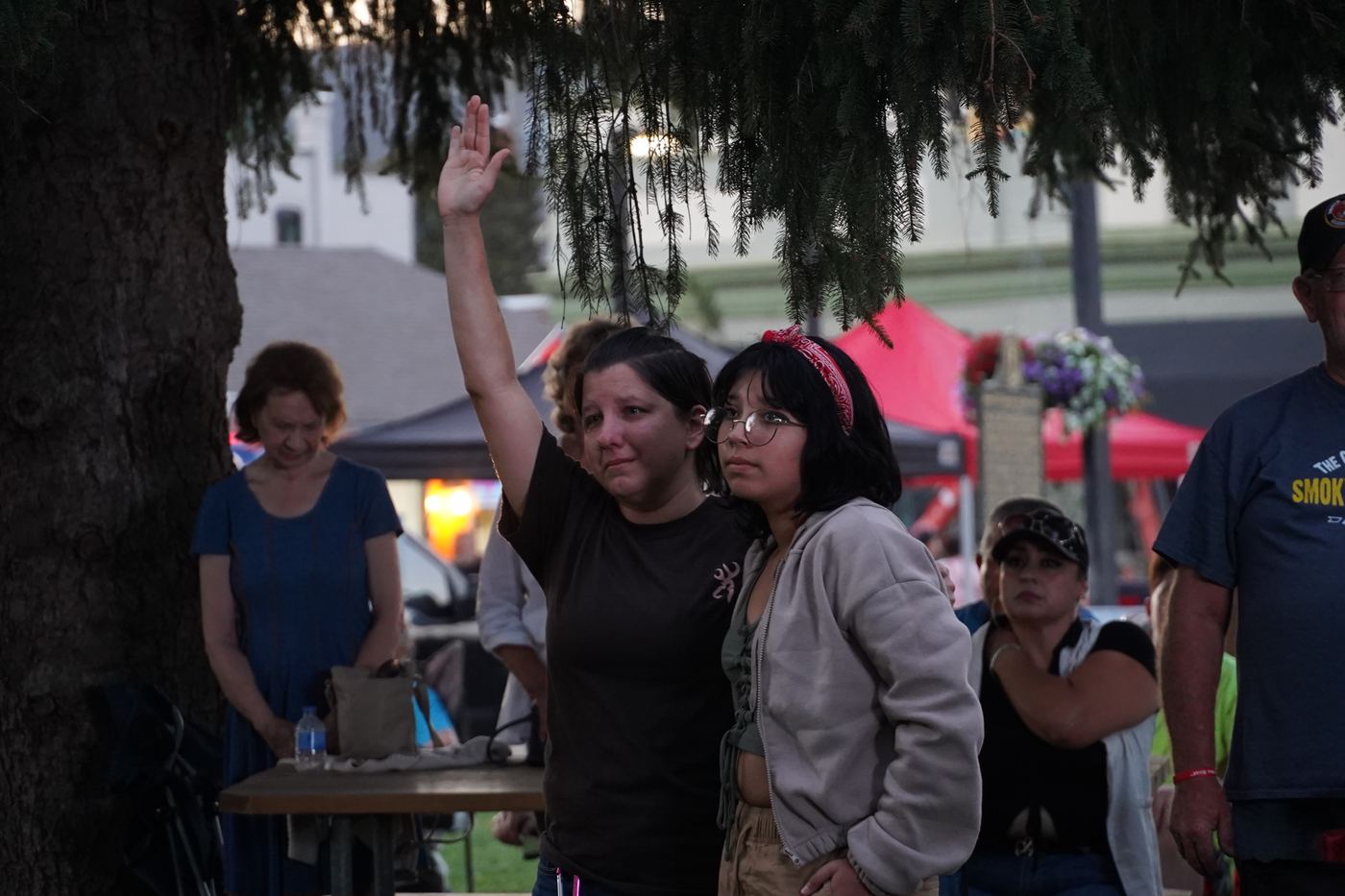 Danville festival — photo 15